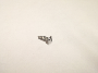 7119902483 Recessed OVAL Head Sheet. Sunvisor screw.